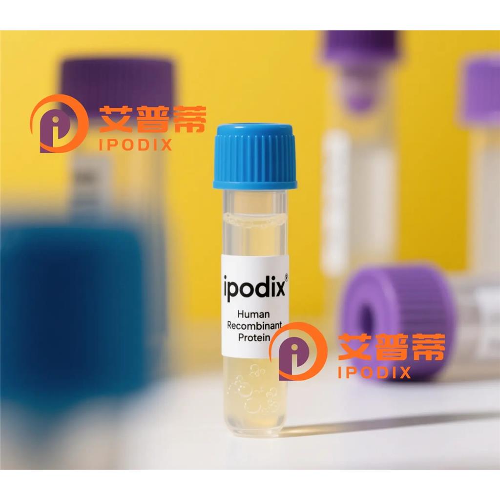 FPR3抗体;FPR3 Antibody—艾普蒂