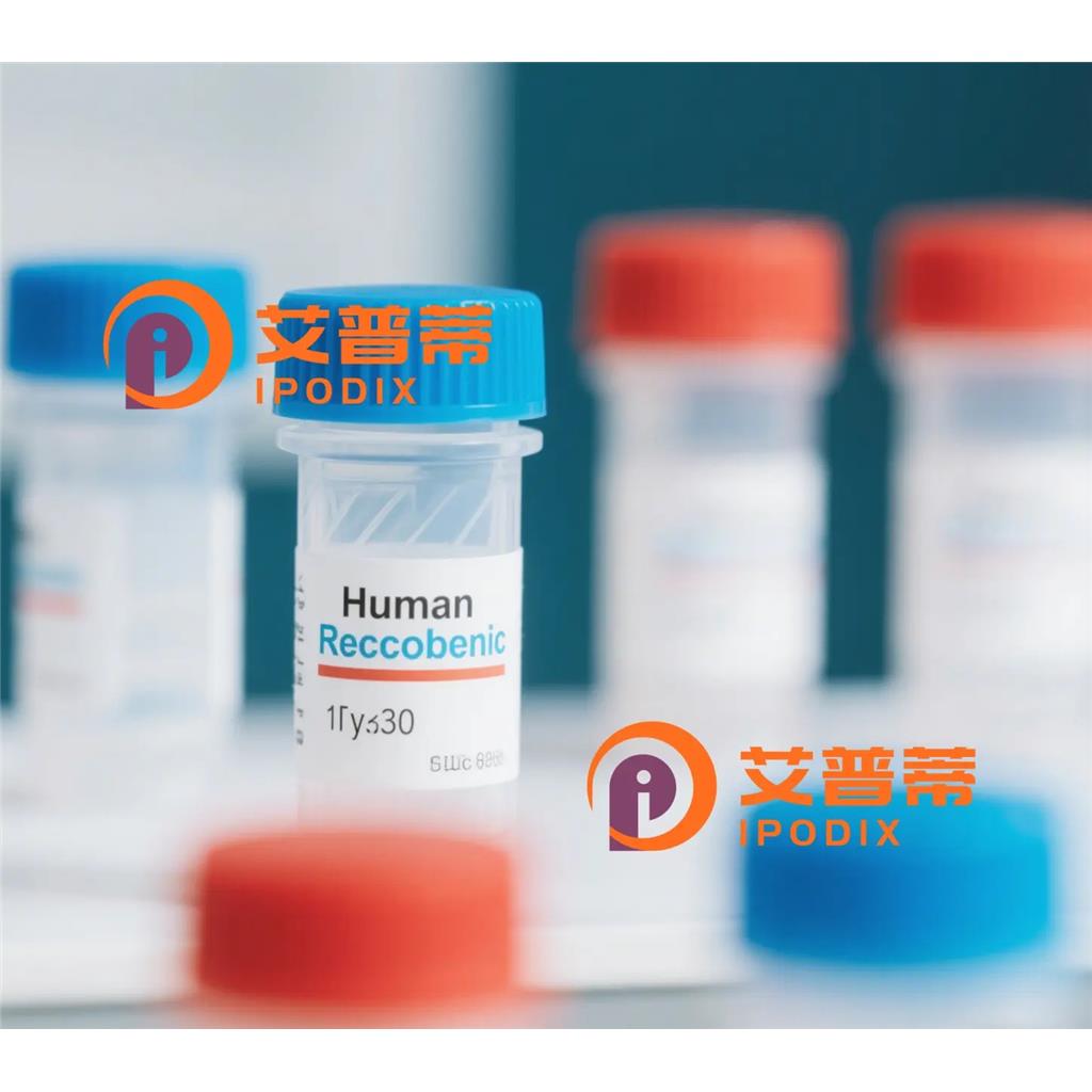 ITGB5抗体;ITGB5 Antibody—艾普蒂