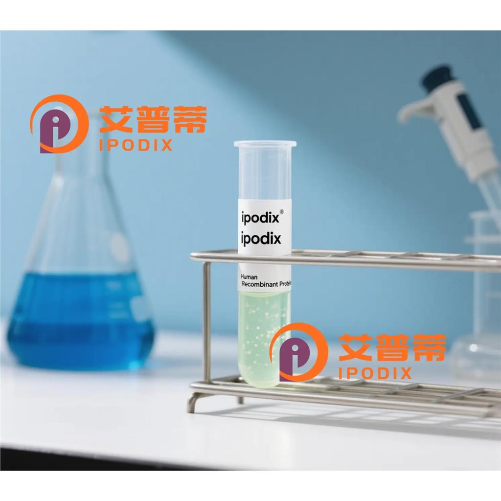 CLEC2抗体;CLEC2 Antibody—艾普蒂