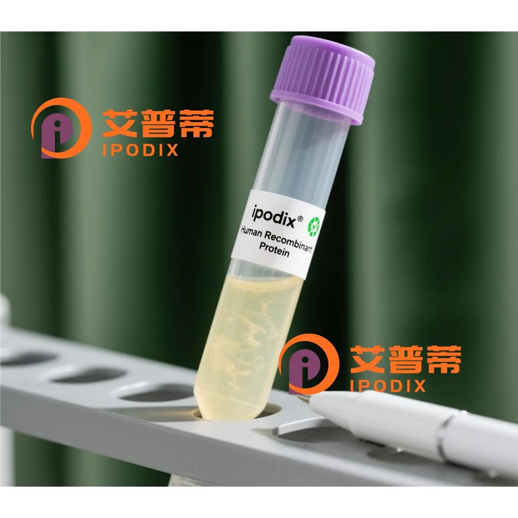 CD4抗体;CD4 Antibody—艾普蒂