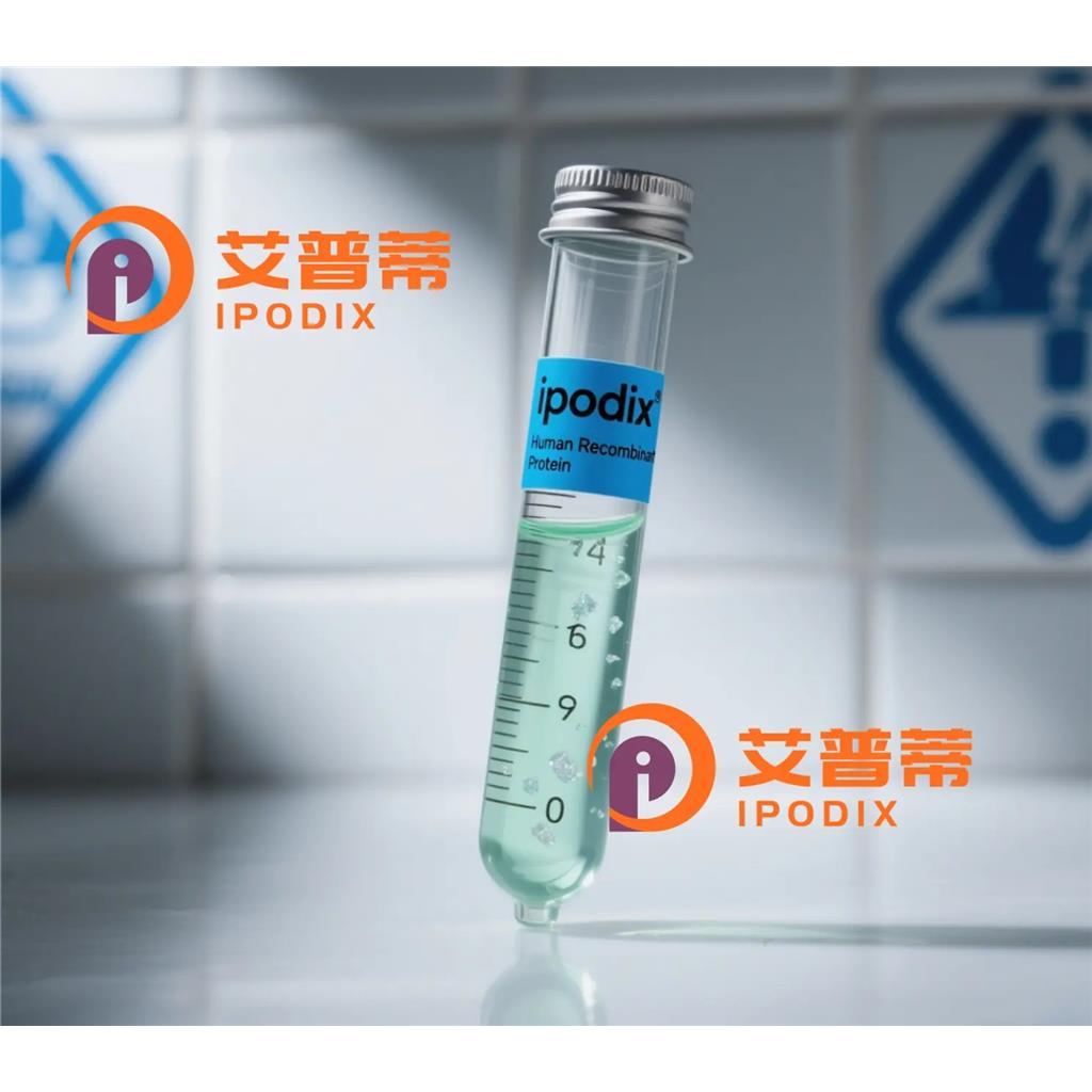 KLK2抗体;KLK2 Antibody—艾普蒂