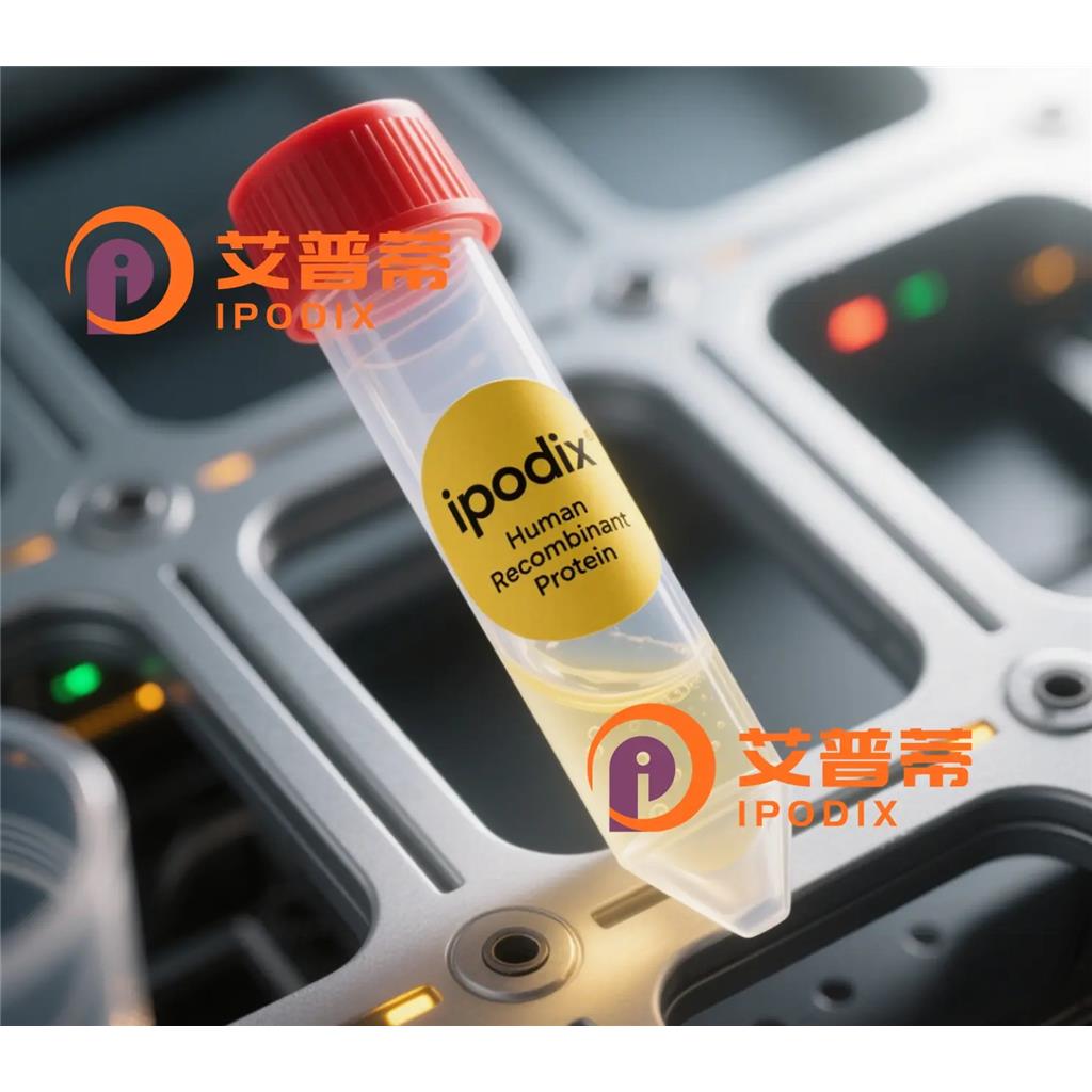 HLA-C抗体;HLA-C Antibody—艾普蒂