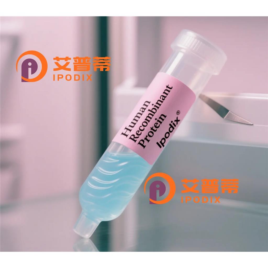 CD235a抗体;CD235a Antibody—艾普蒂