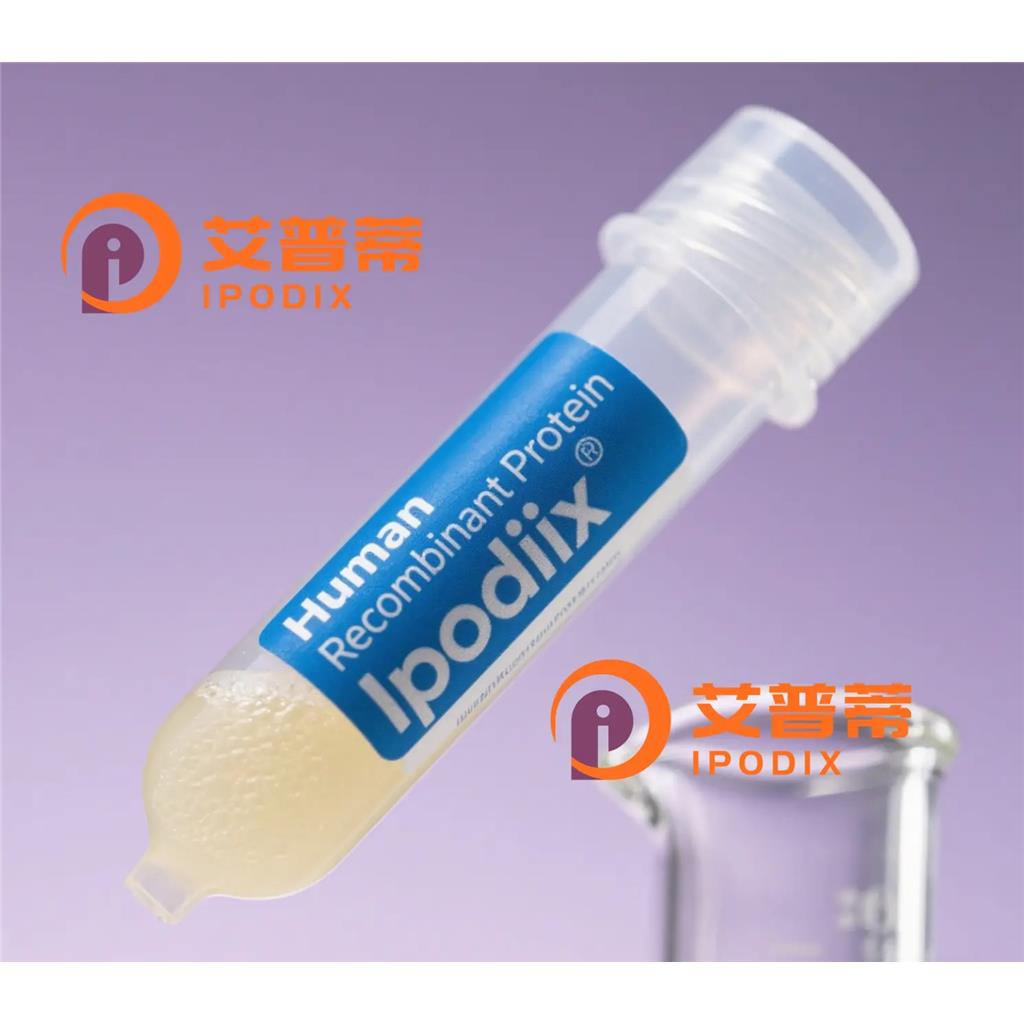 CUL7抗体;CUL7 Antibody—艾普蒂