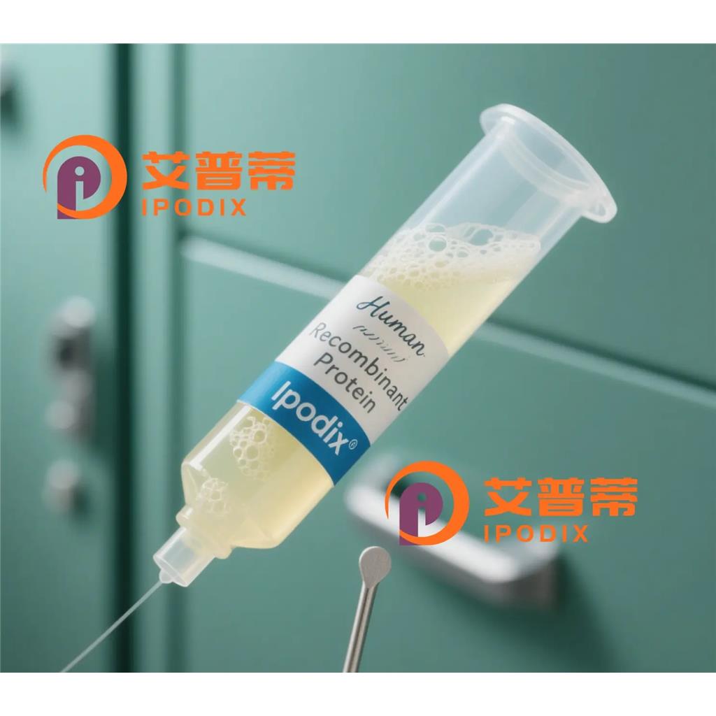 ABCE1抗体;ABCE1 Antibody—艾普蒂