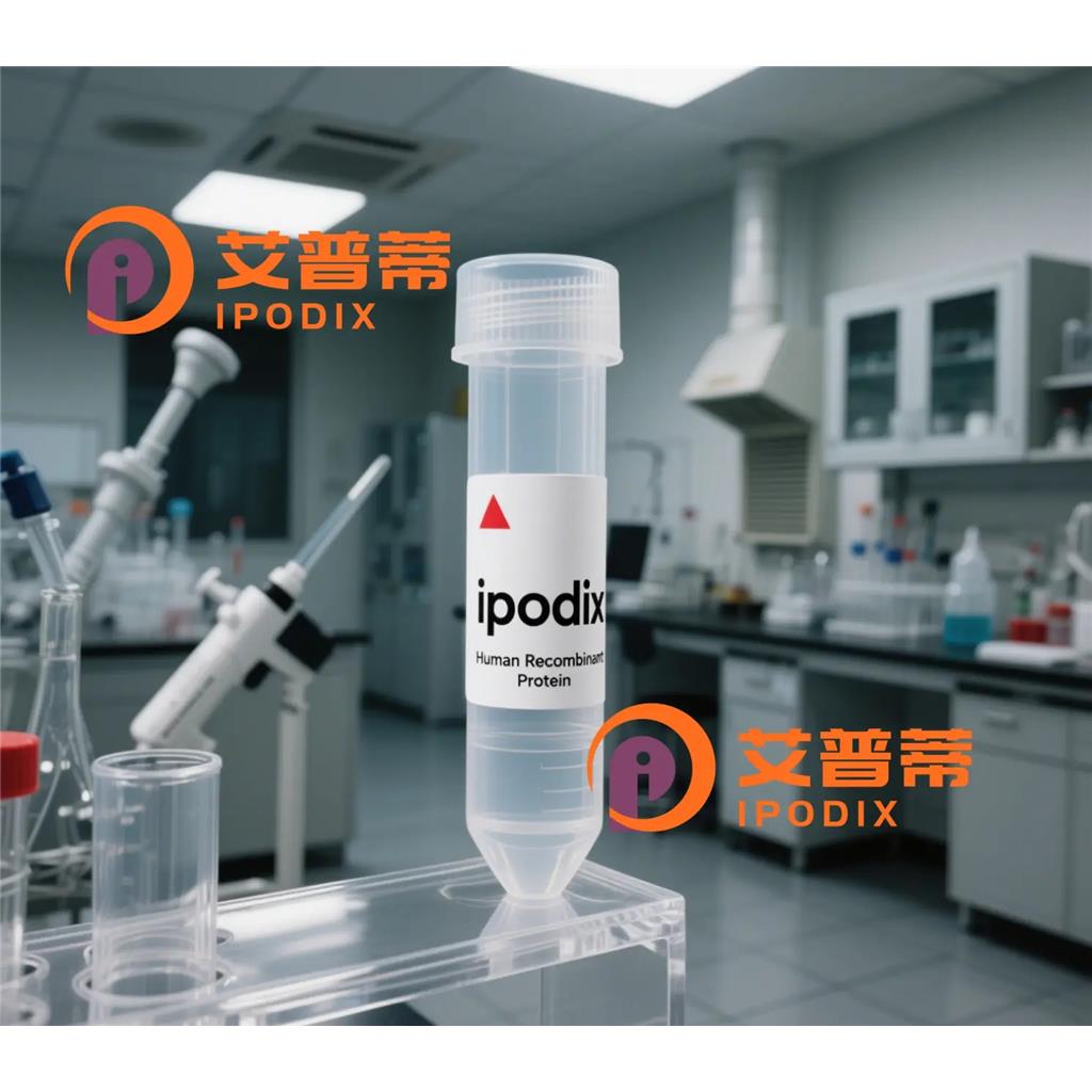 ABCE1抗体;ABCE1 Antibody—艾普蒂