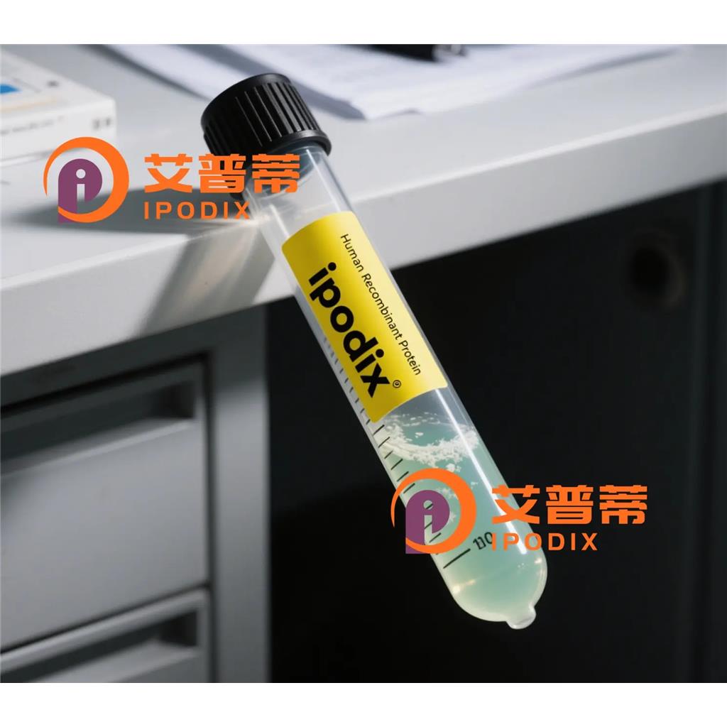 SF3B3抗体;SF3B3 Antibody—艾普蒂