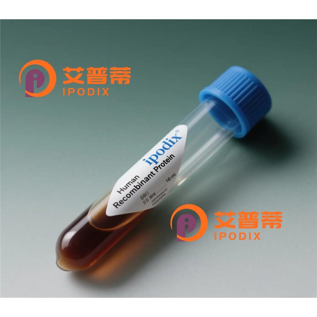 SF3B3抗体;SF3B3 Antibody—艾普蒂