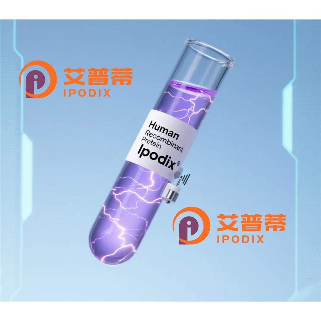 PAFAH2抗体;PAFAH2 Antibody—艾普蒂