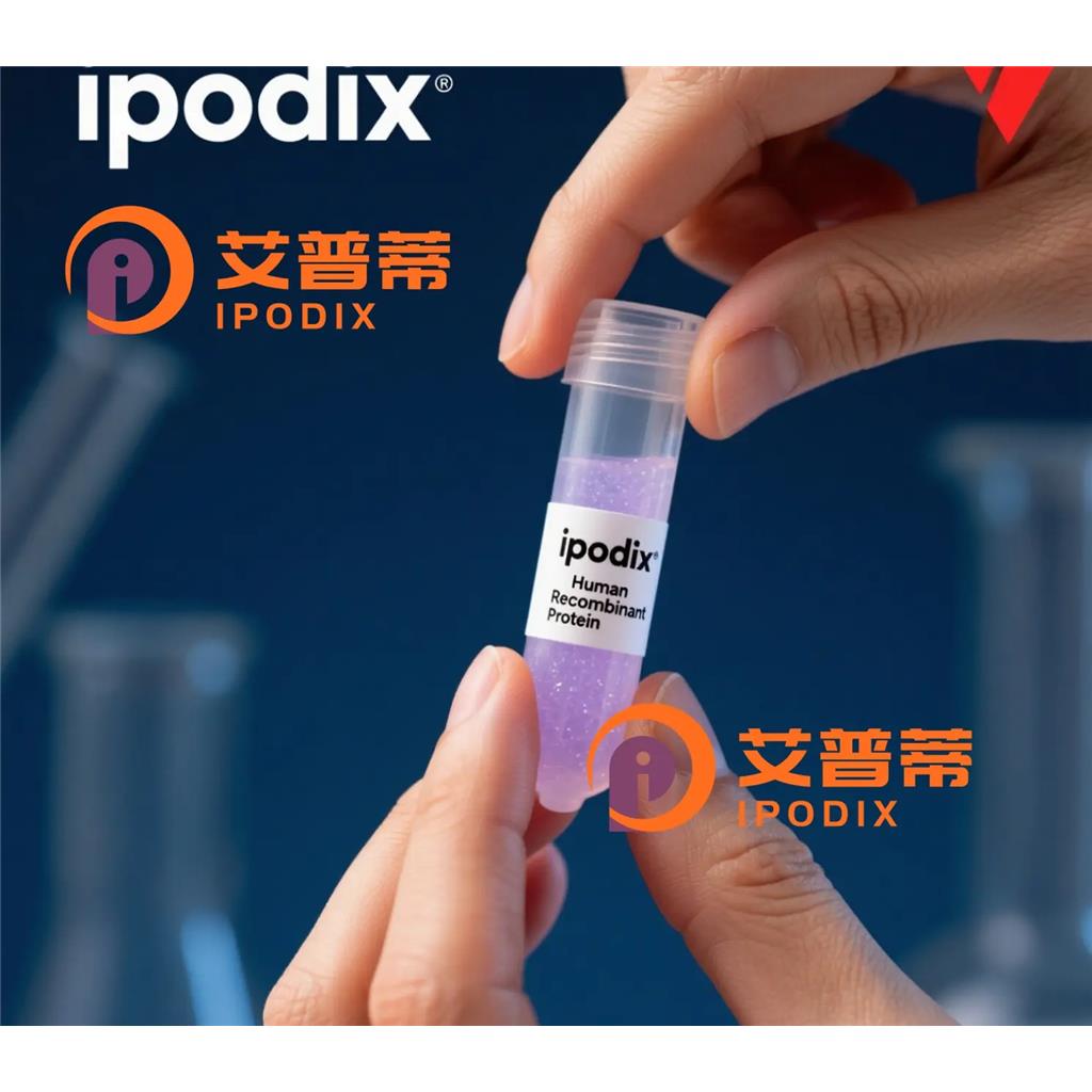 SCN10A抗体;SCN10A Antibody—艾普蒂