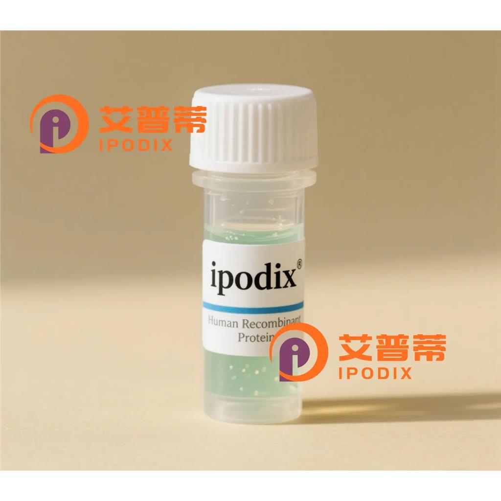 SCN10A抗体;SCN10A Antibody—艾普蒂