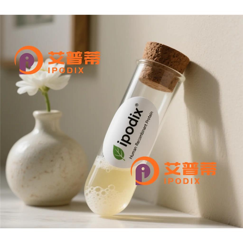 ADORA1抗体;ADORA1 Antibody—艾普蒂