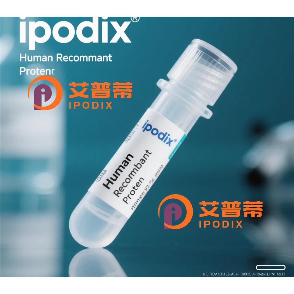 GPT抗体;GPT Antibody—艾普蒂