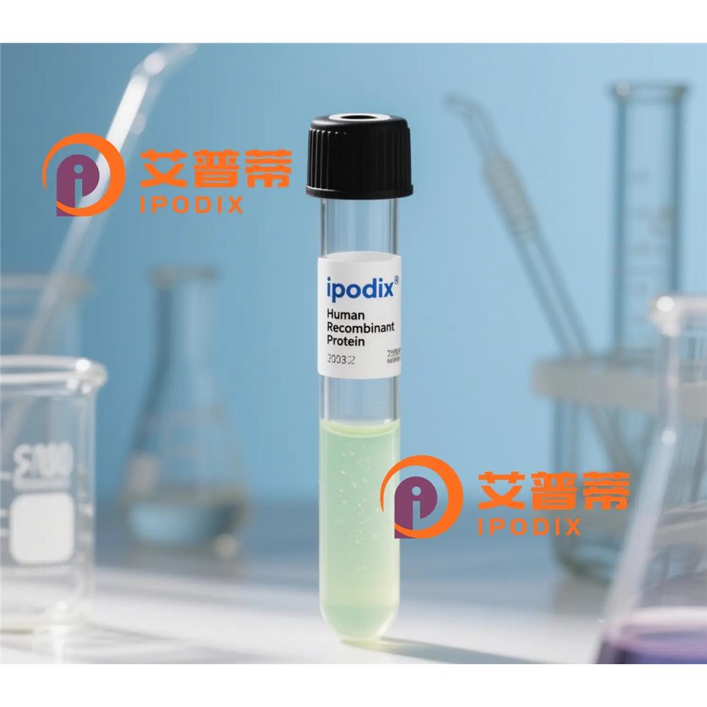 ATAD5抗体;ATAD5 Antibody—艾普蒂