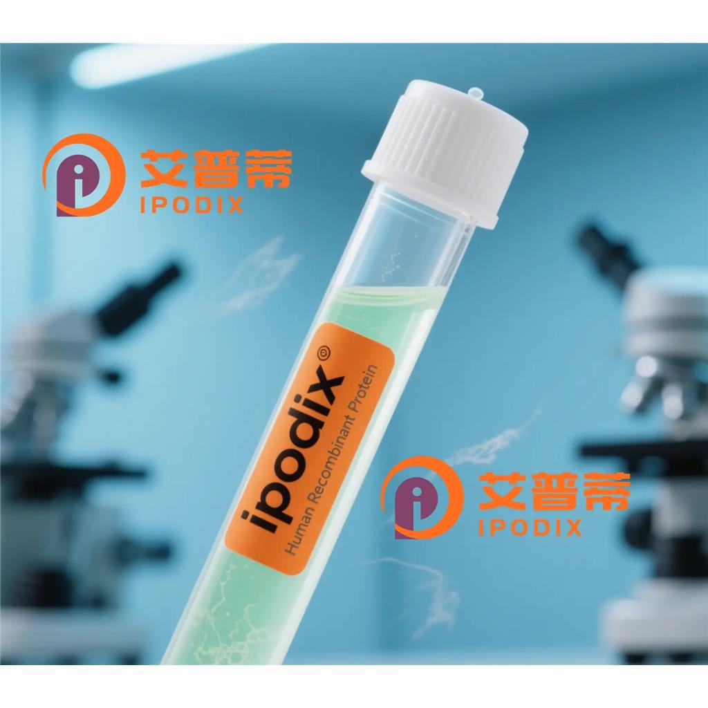 ATRN抗体;ATRN Antibody—艾普蒂