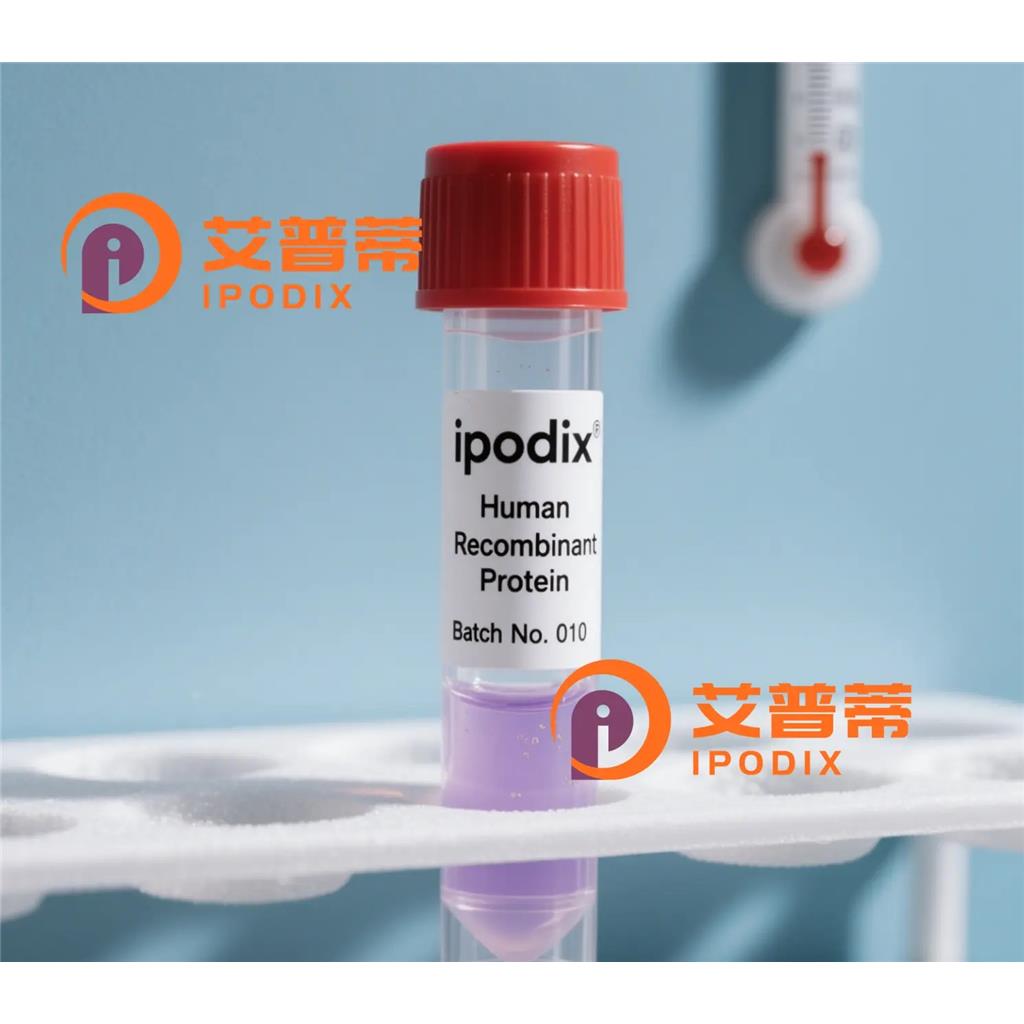 ADGRB1抗体;ADGRB1 Antibody—艾普蒂