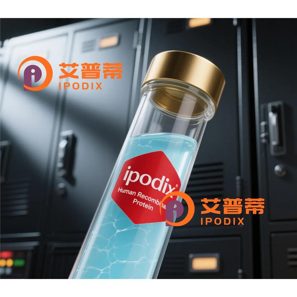 ADGRB2抗体;ADGRB2 Antibody—艾普蒂