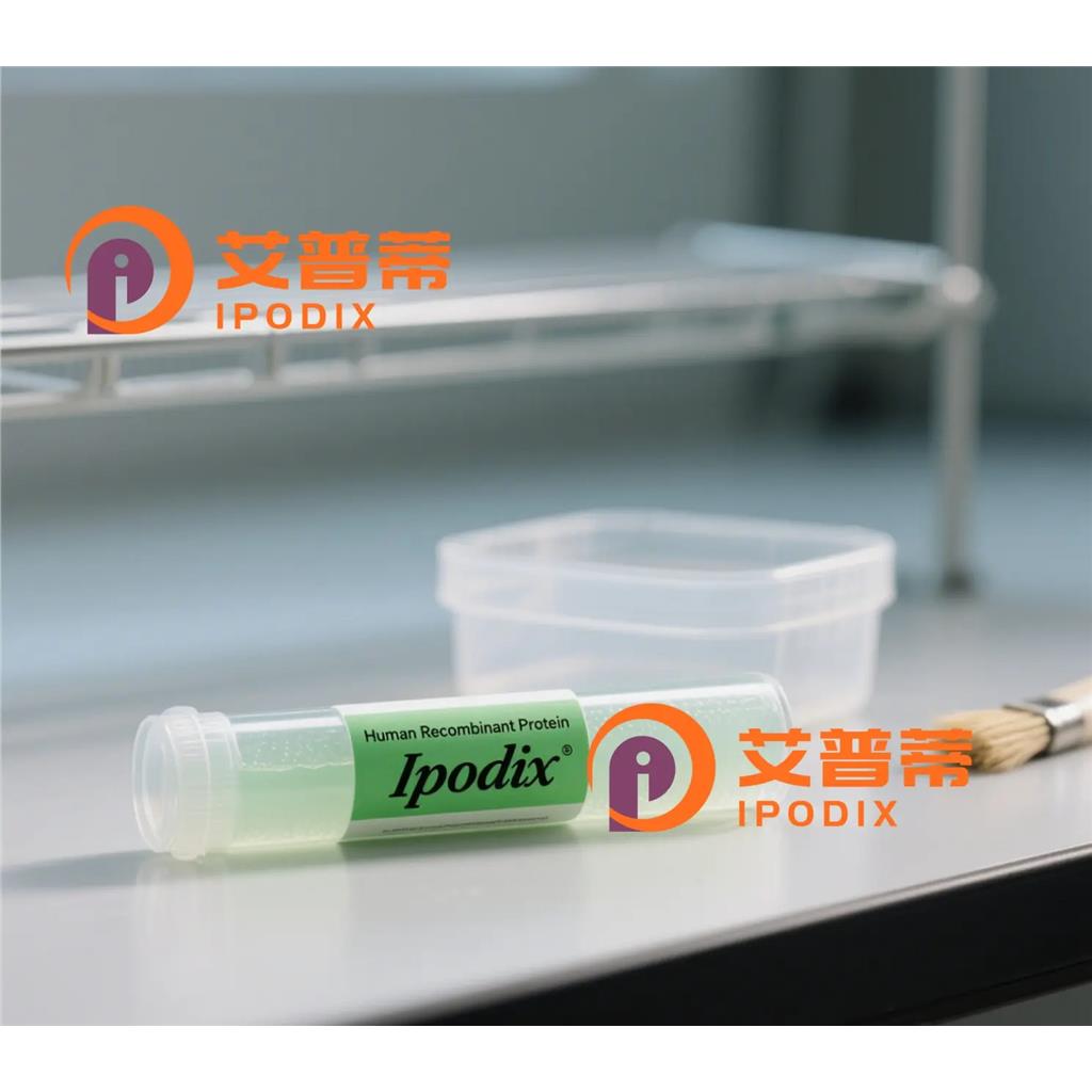 GTF2I抗体;GTF2I Antibody—艾普蒂