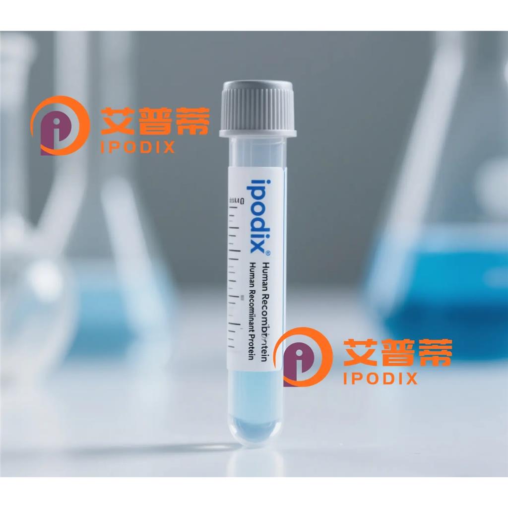 GDF11抗体;GDF11 Antibody—艾普蒂