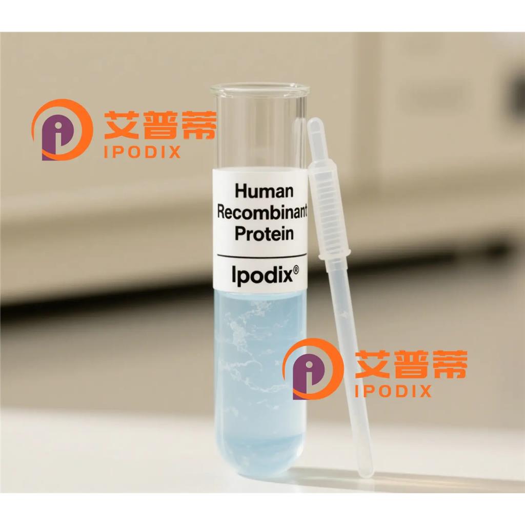 GDF11抗体;GDF11 Antibody—艾普蒂