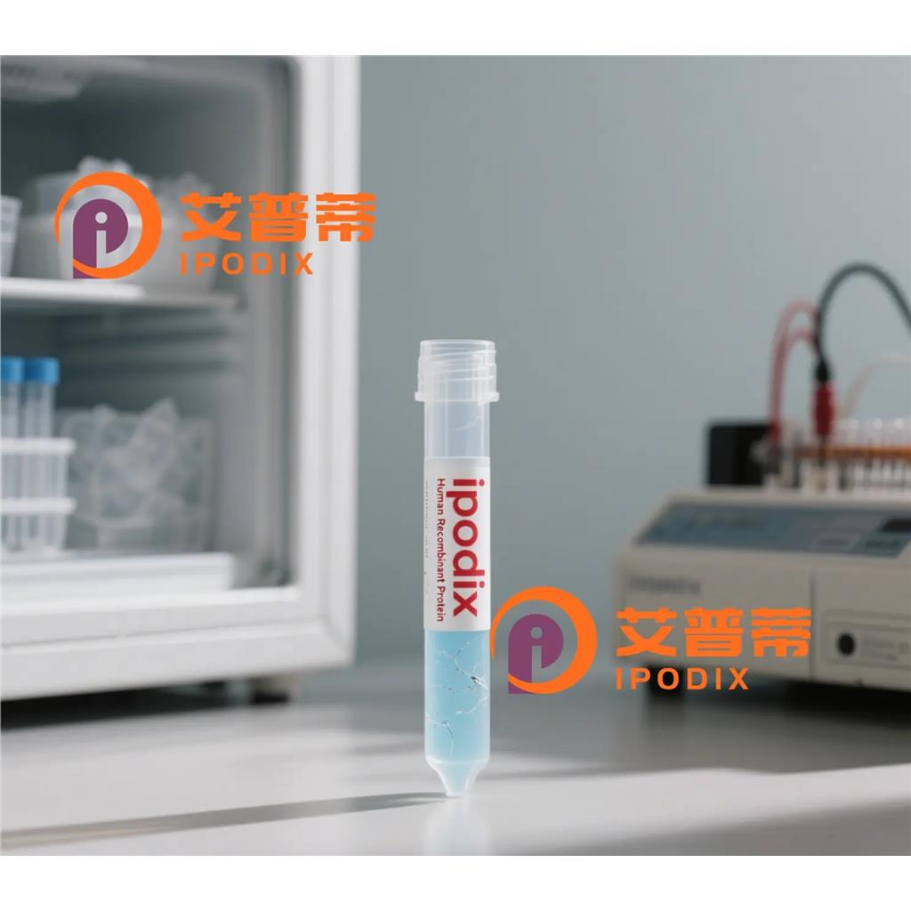 BST1抗体;BST1 Antibody—艾普蒂