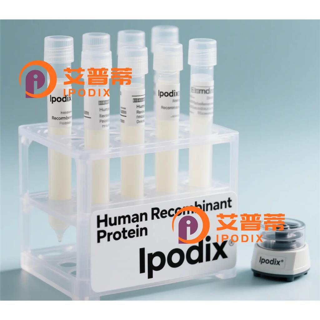 CACNA1D抗体;CACNA1D Antibody—艾普蒂