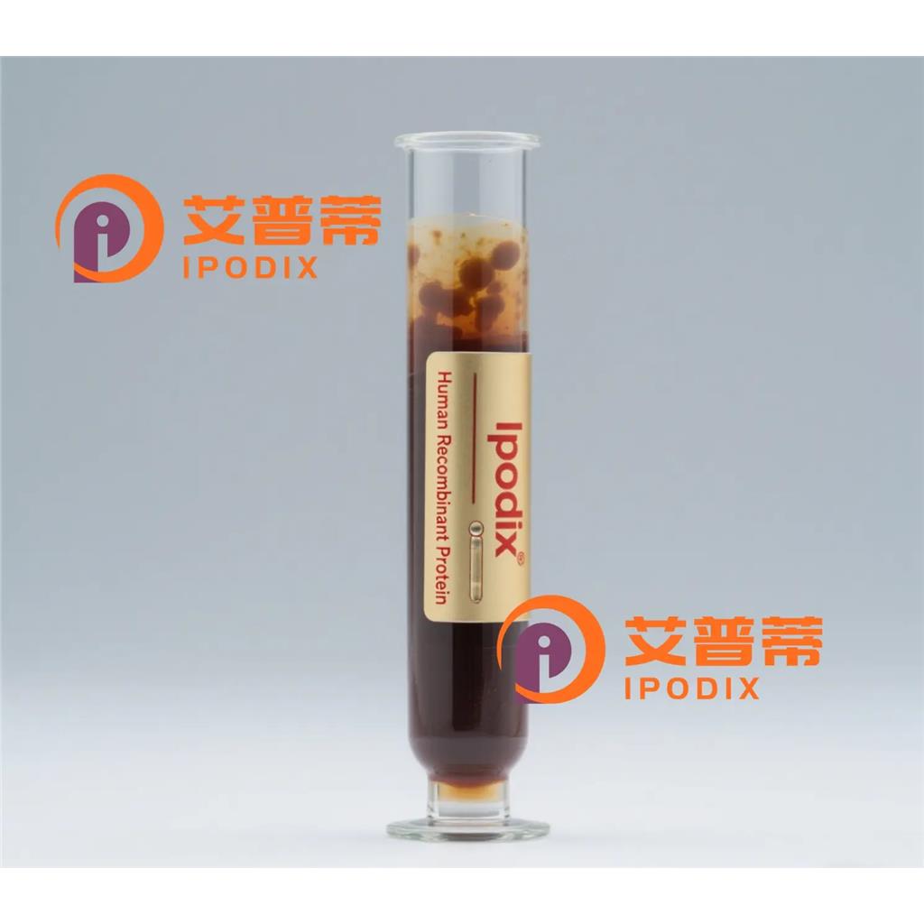 CACNB2抗体;CACNB2 Antibody—艾普蒂