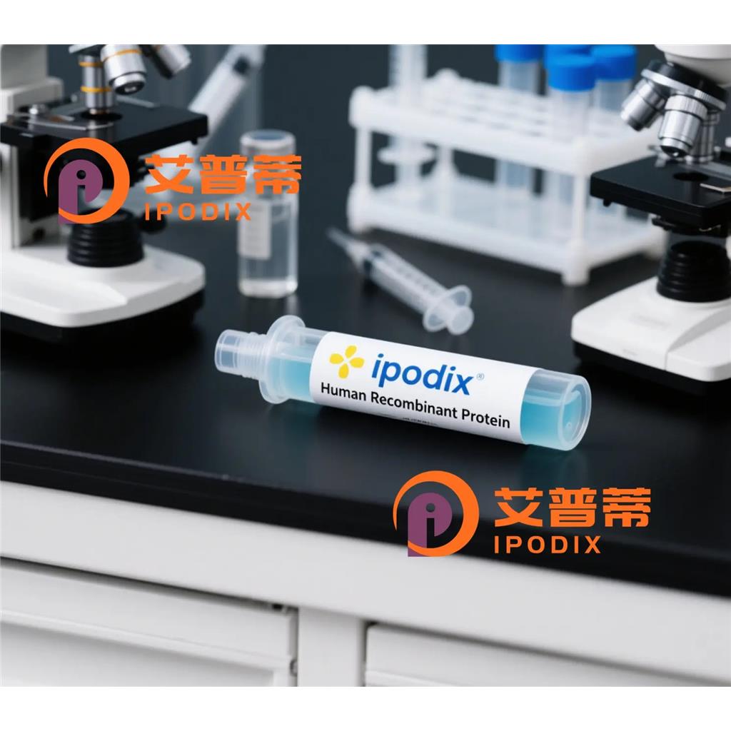 CACNB2抗体;CACNB2 Antibody—艾普蒂