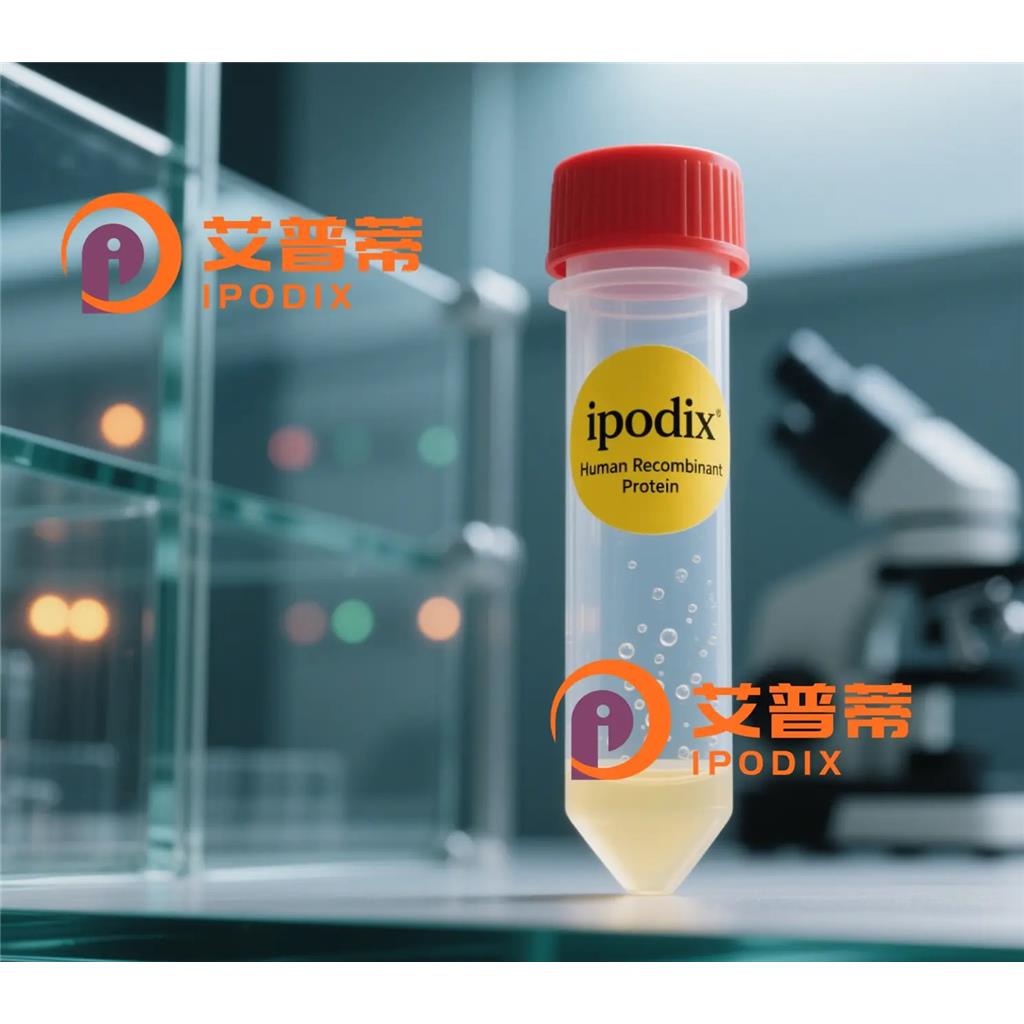 CNTNAP3抗体;CNTNAP3 Antibody—艾普蒂