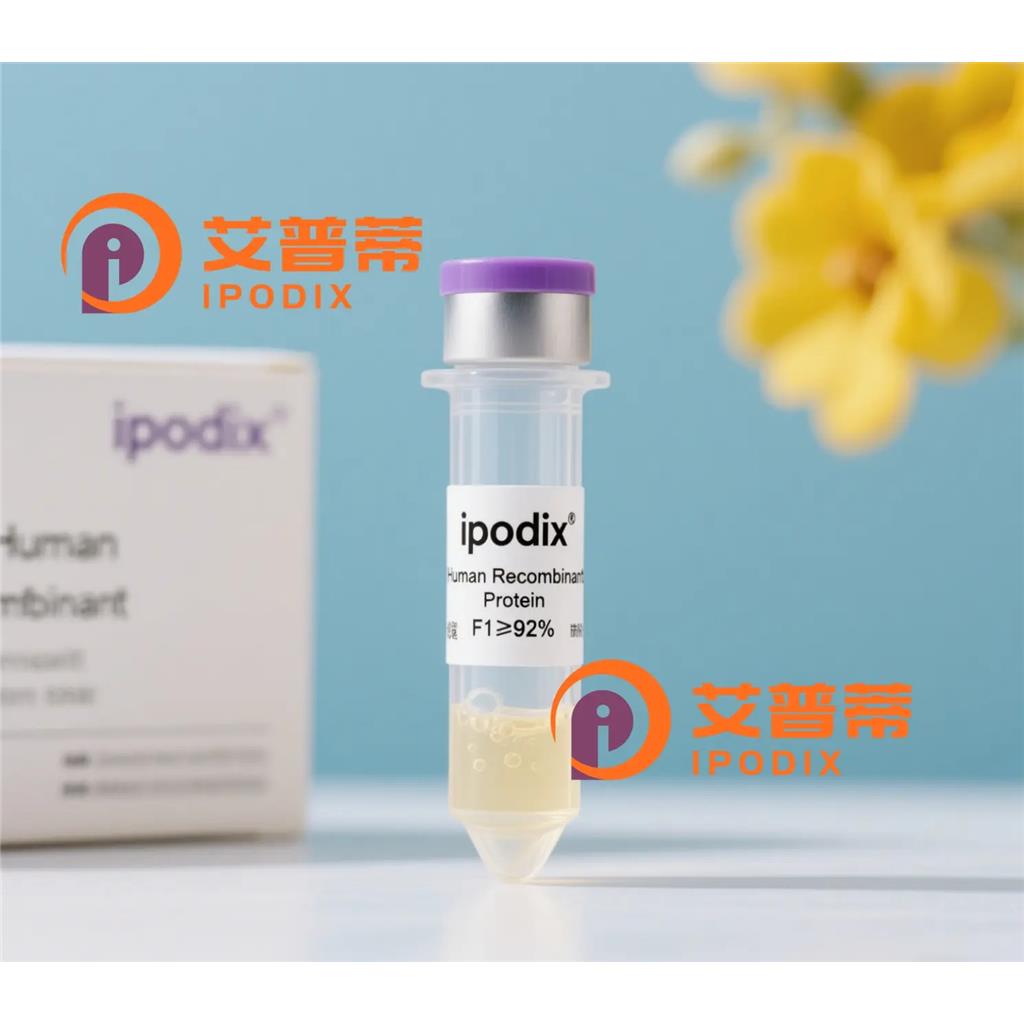 CNTNAP3抗体;CNTNAP3 Antibody—艾普蒂