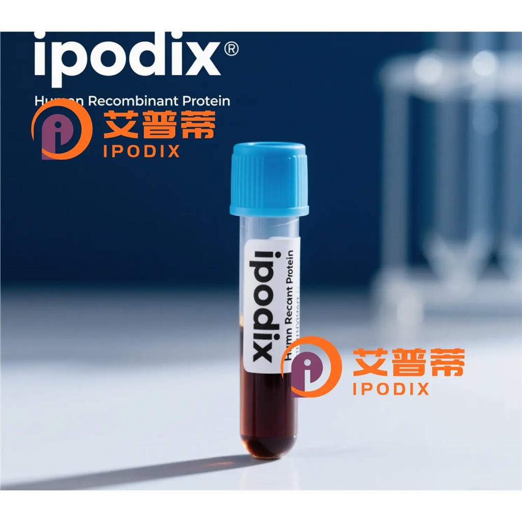 DEFA4抗体;DEFA4 Antibody—艾普蒂