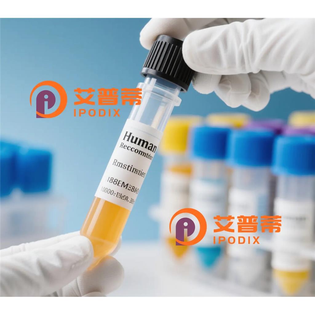 ENDOG抗体;ENDOG Antibody—艾普蒂