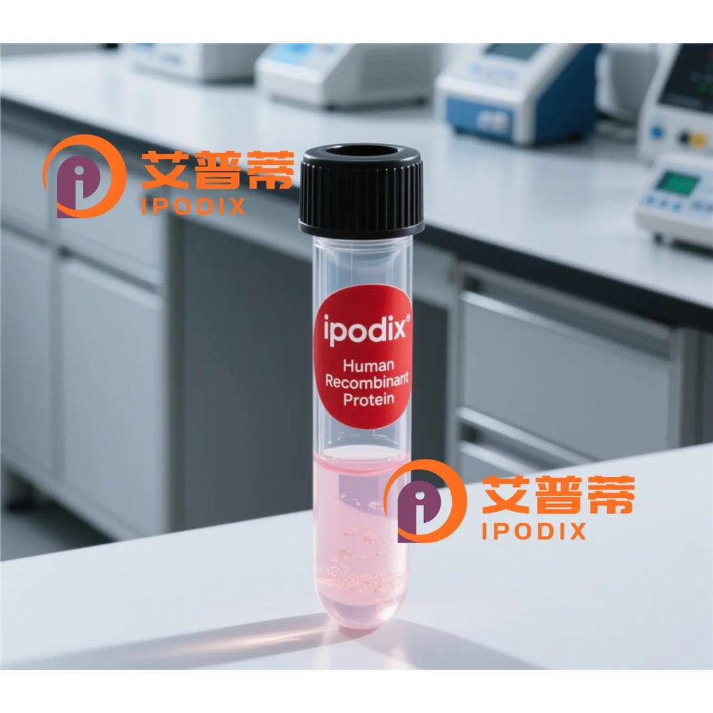 GPD2抗体;GPD2 Antibody—艾普蒂