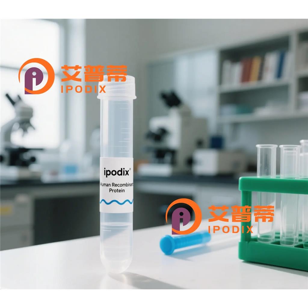 GPR39抗体;GPR39 Antibody—艾普蒂