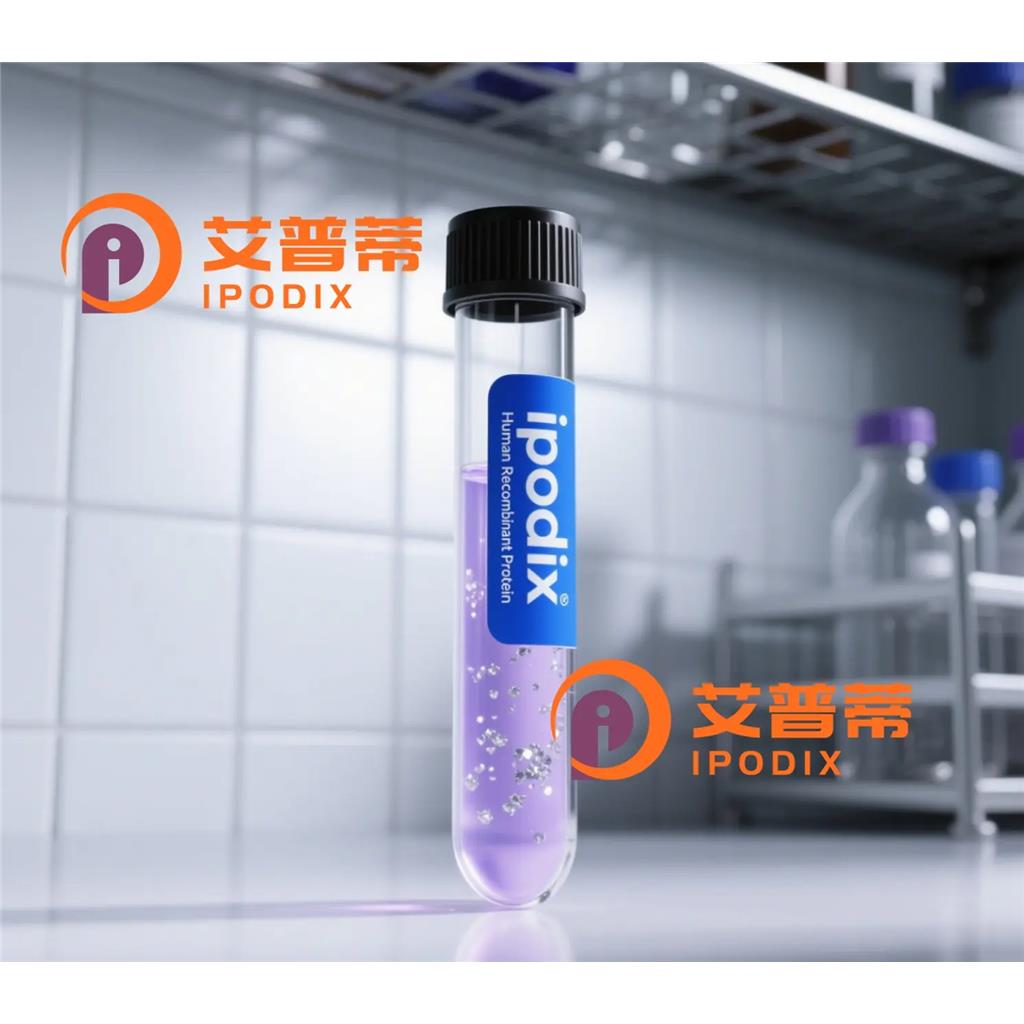 GPR39抗体;GPR39 Antibody—艾普蒂