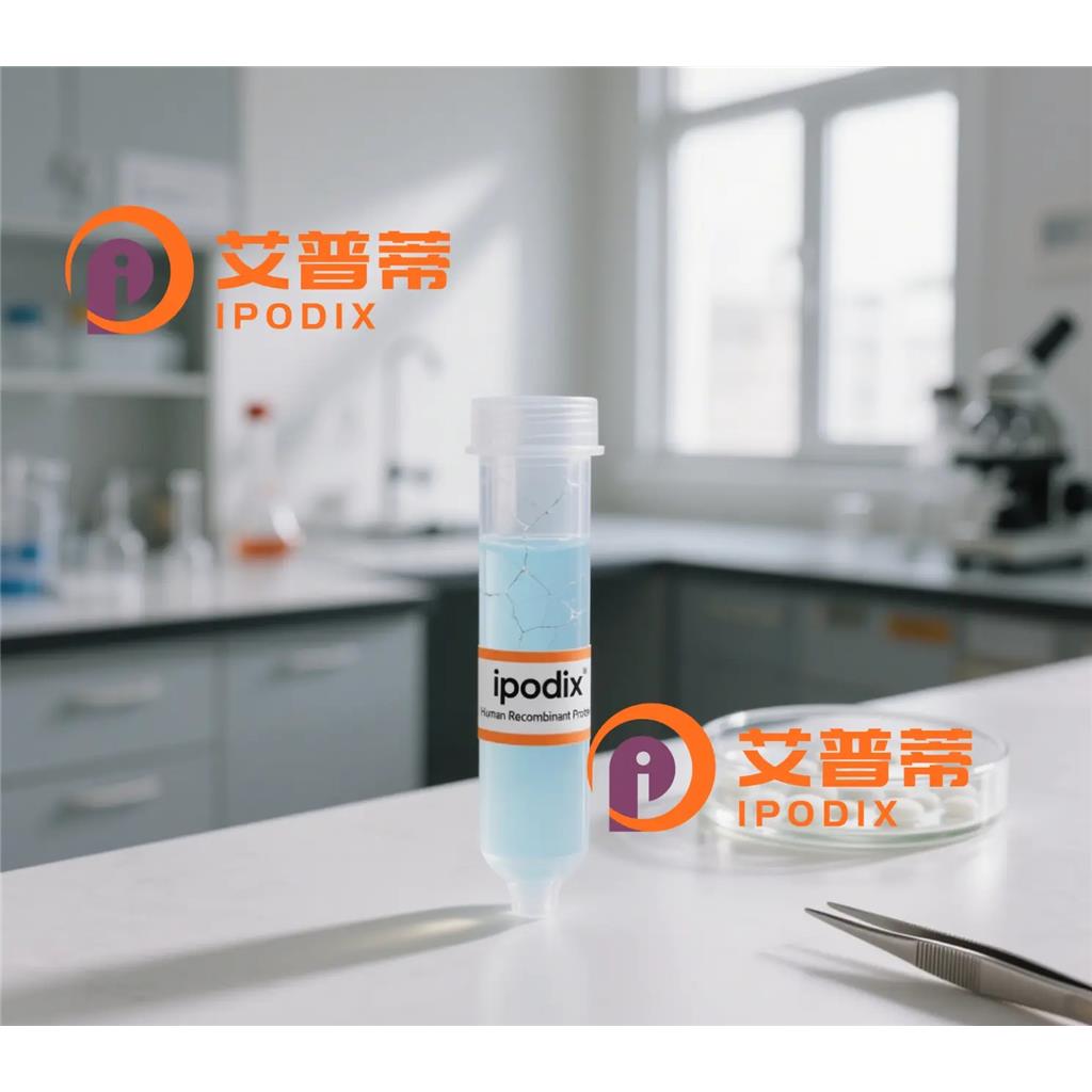 HINT1抗体;HINT1 Antibody—艾普蒂