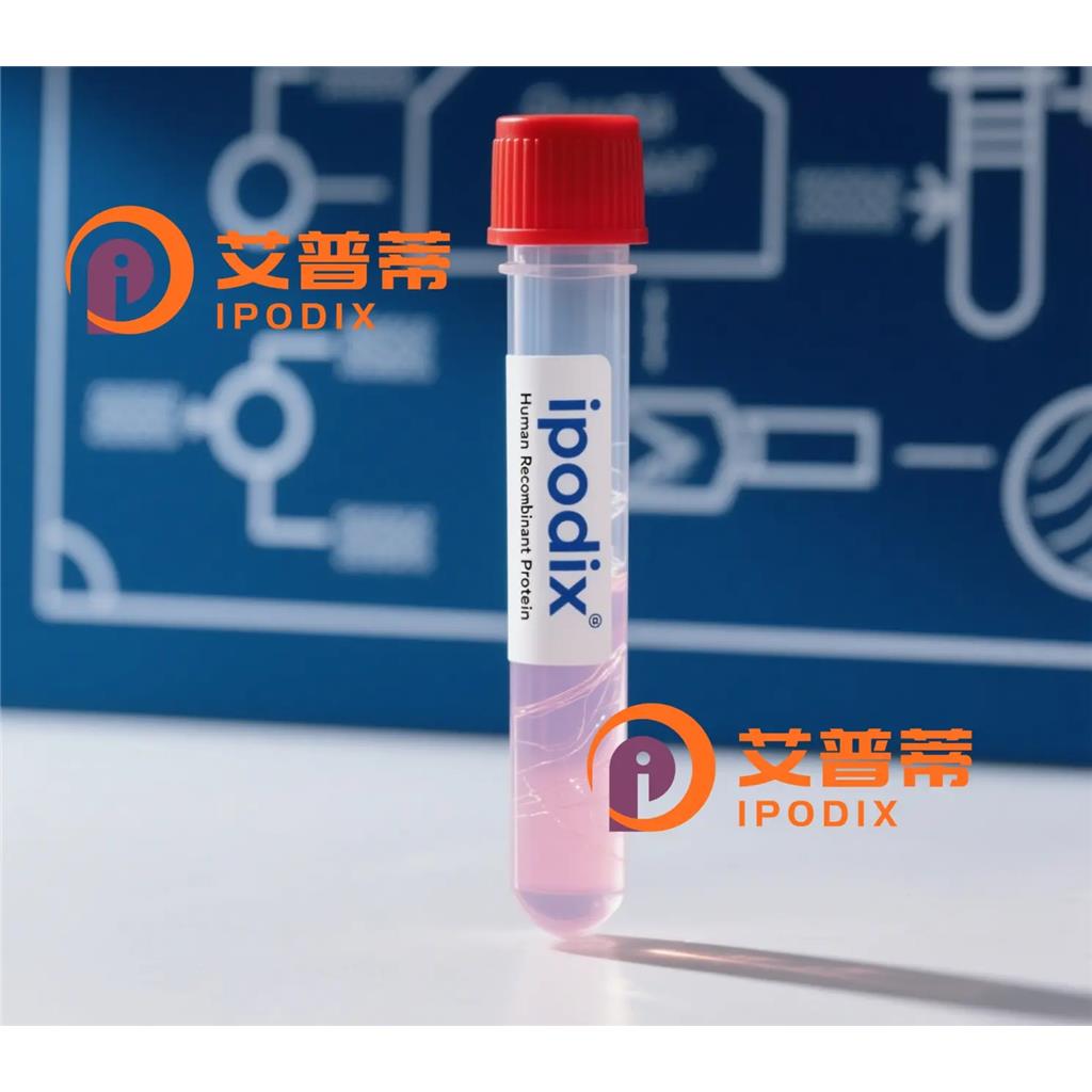 MAGEB2抗体;MAGEB2 Antibody—艾普蒂