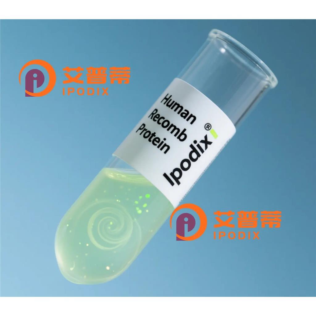 MRGPRX1抗体;MRGPRX1 Antibody—艾普蒂