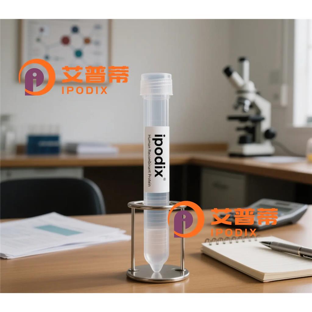 RHEB抗体;RHEB Antibody—艾普蒂