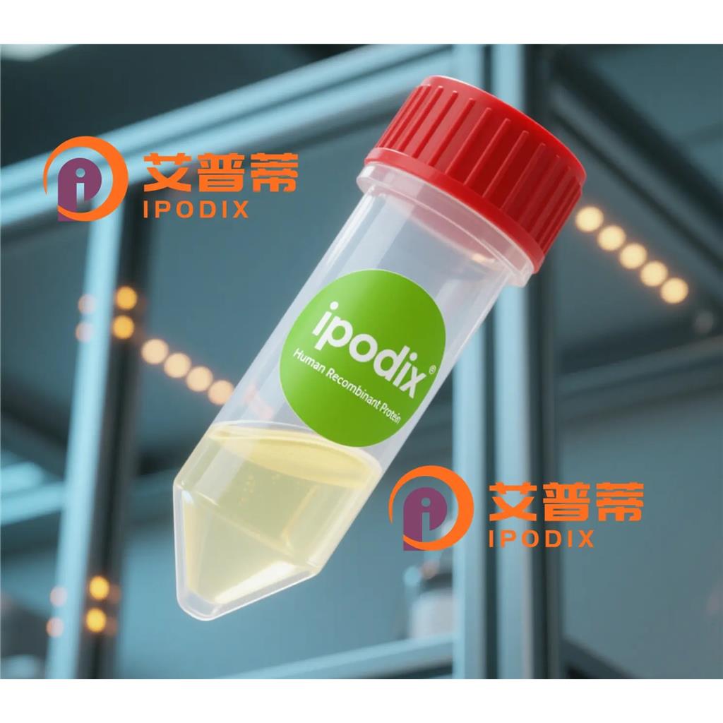 CLEC16A抗体;CLEC16A Antibody—艾普蒂