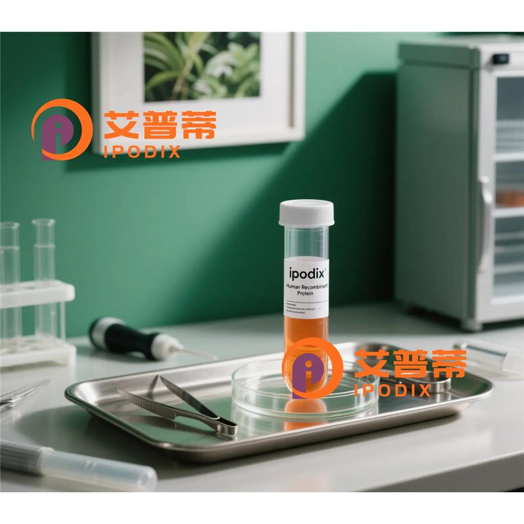 NLRP10抗体;NLRP10 Antibody—艾普蒂