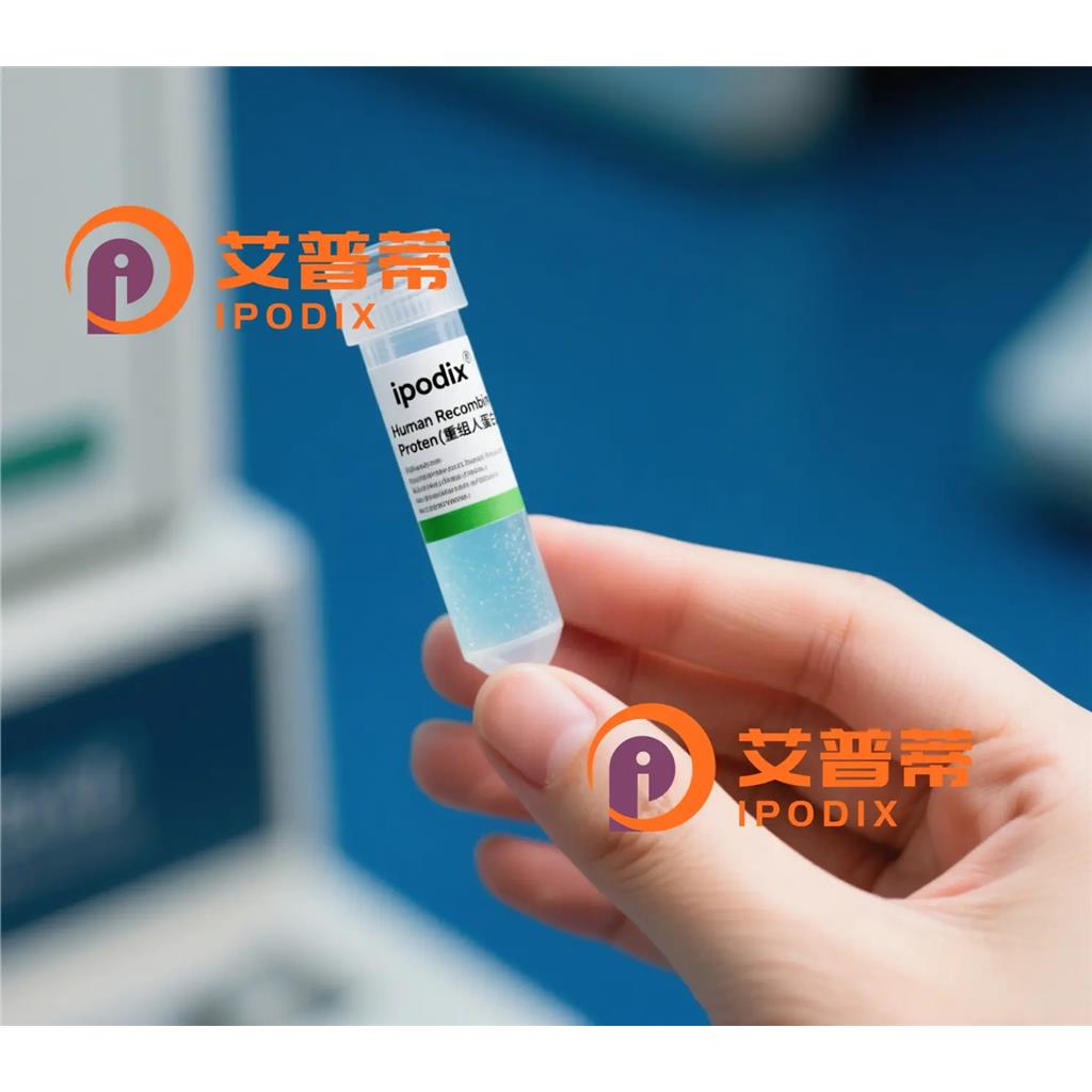 PLEC抗体;PLEC Antibody—艾普蒂
