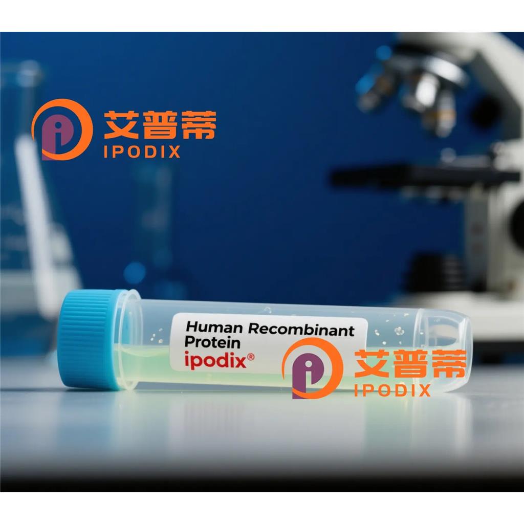 SNX33抗体;SNX33 Antibody—艾普蒂