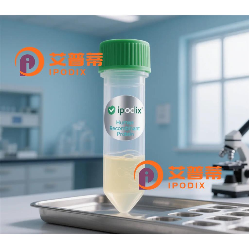 SNX33抗体;SNX33 Antibody—艾普蒂