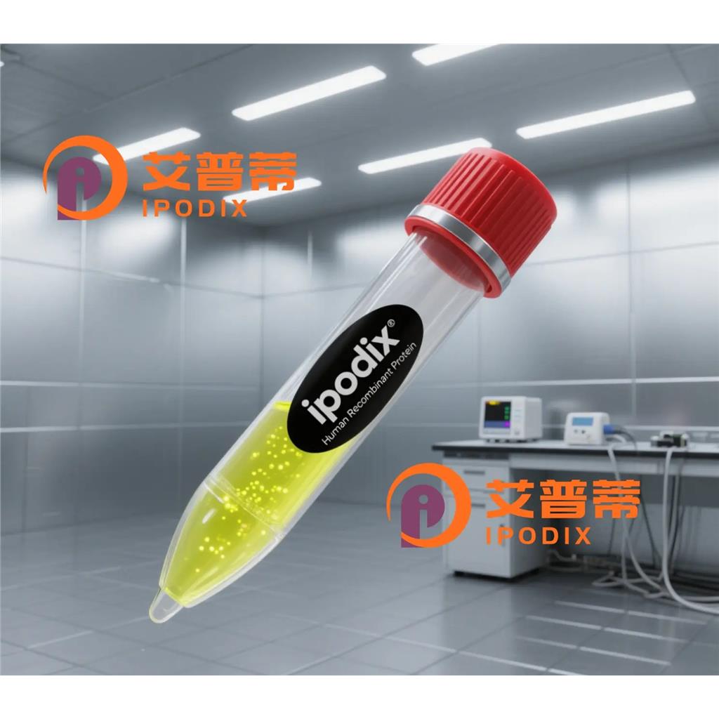 COX7C抗体;COX7C Antibody—艾普蒂