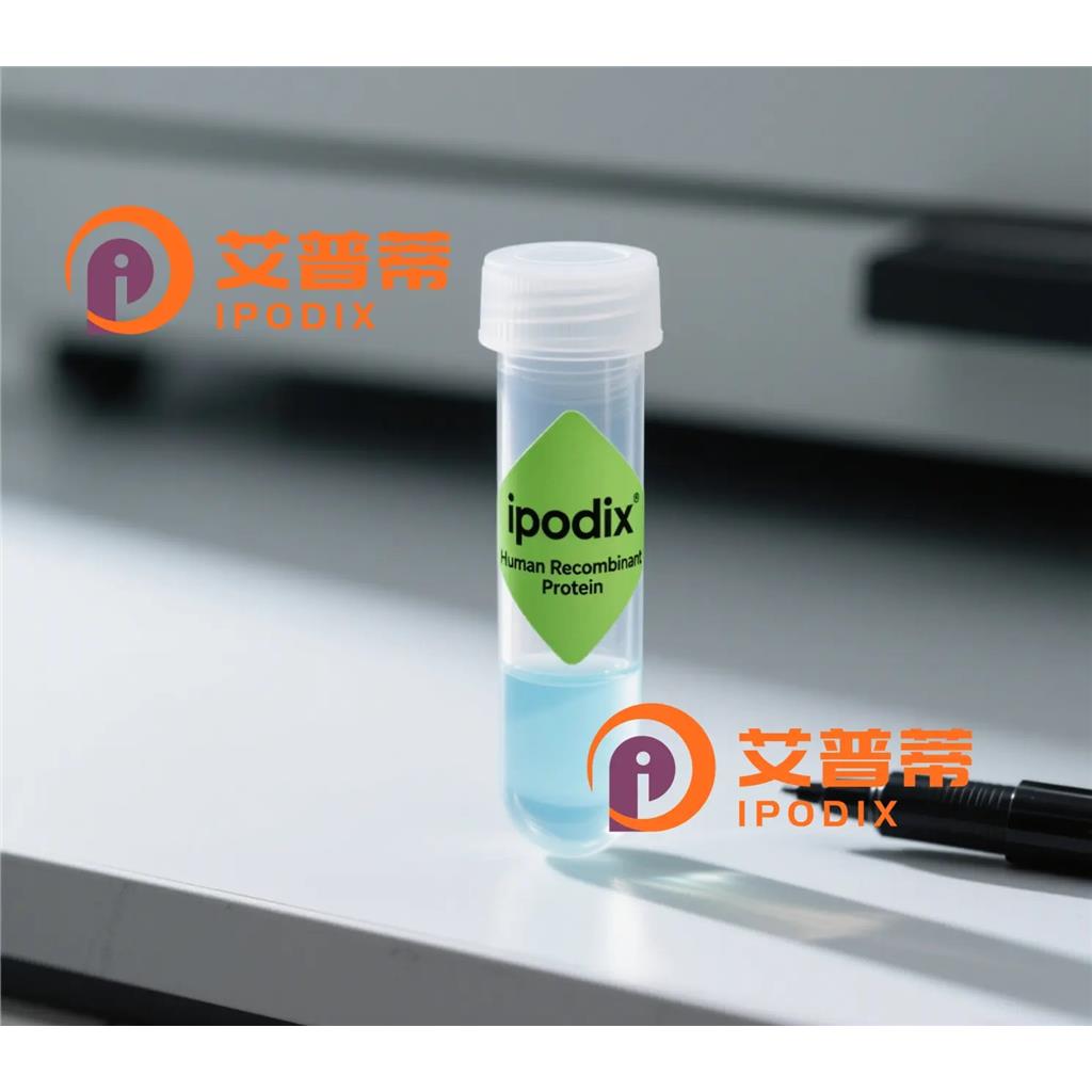 DEK抗体;DEK Antibody—艾普蒂