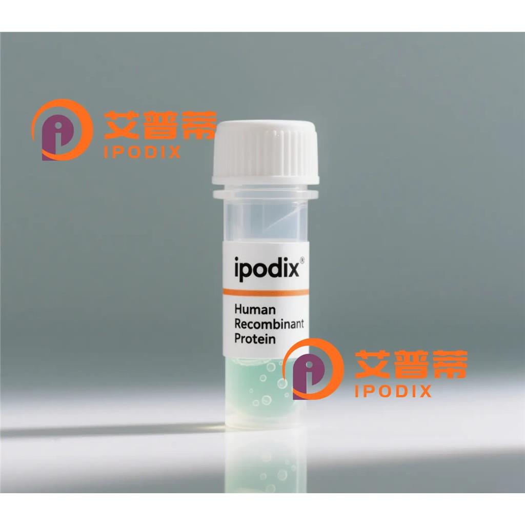 DEK抗体;DEK Antibody—艾普蒂