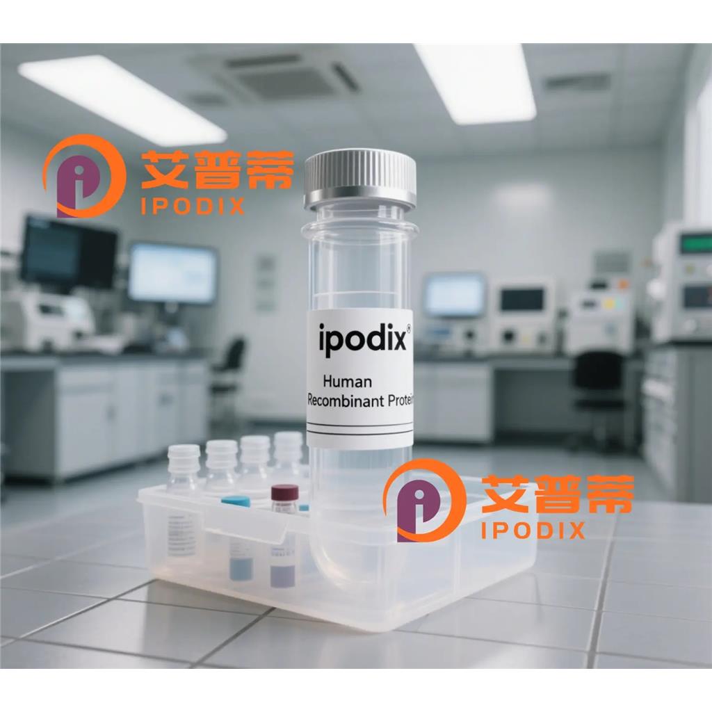 KLRC3抗体;KLRC3 Antibody—艾普蒂