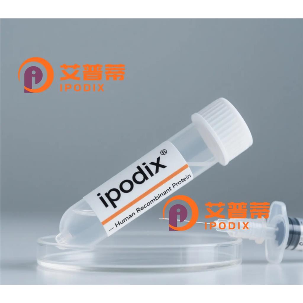 JUNB抗体;JUNB Antibody—艾普蒂