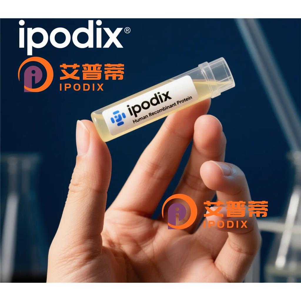 JUNB抗体;JUNB Antibody—艾普蒂